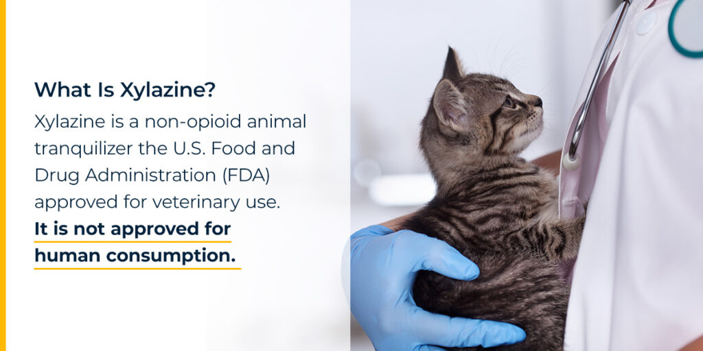 What Is Xylazine?